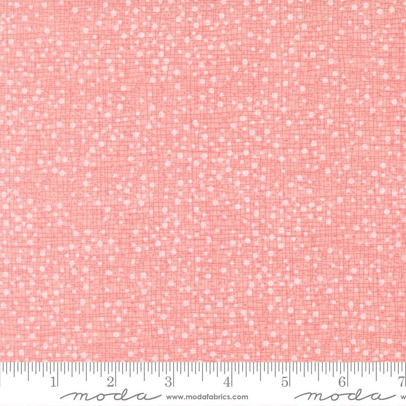Darling Peony Cotton Candy 5717