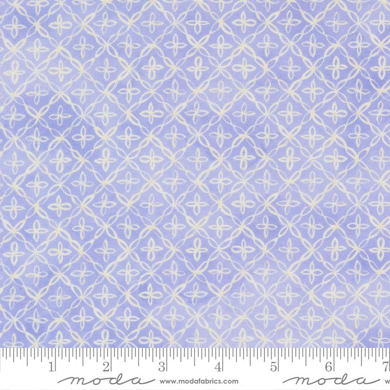 Delphinium Lilac 65615