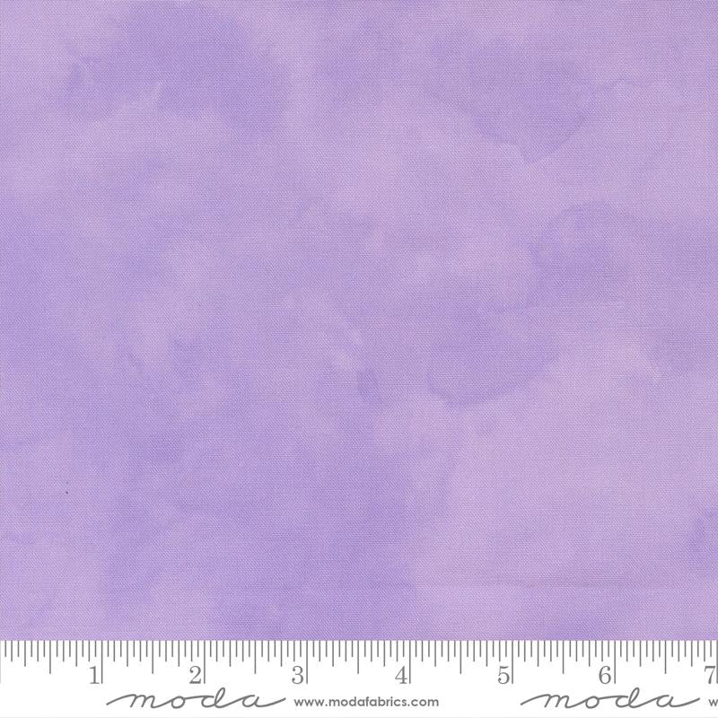 Delphinium Mauve 66015