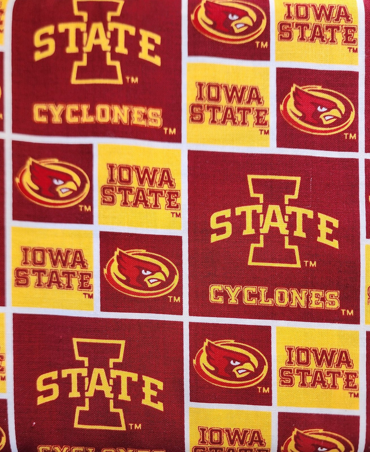 Iowa State ISU006