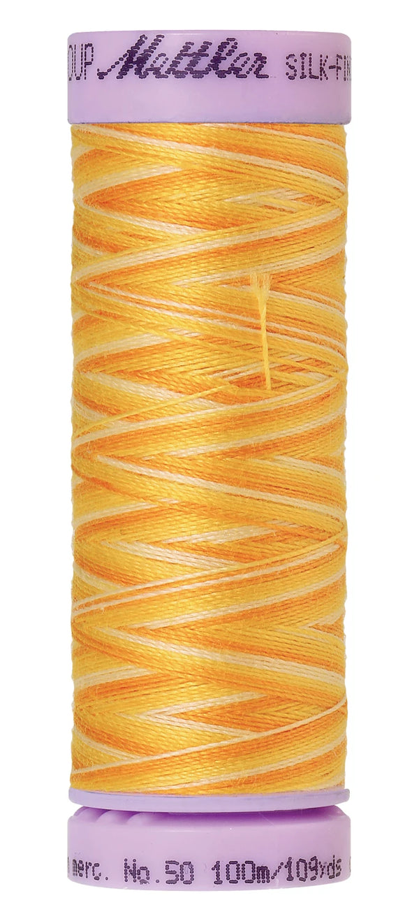 Mettler 9827 Silk-Finish 50wt Variegated Cotton Thread 109yd/100M Horizon