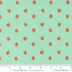 Bloomsberry Aqua 55352 13
