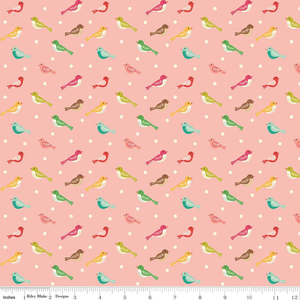 Aviary Bird Peaches 'n Cream
