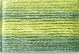 Cosmo Seasons Variegated Floss 8014 Greens