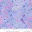Delphinium Bluebell 65113