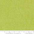 Dotty Thatched Lime 5432