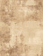 Dry Brush Sand 6358