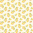 Here Comes the Sun Citrus Cream 4357