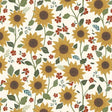 Honeycrisp Ivory Sunshine 806102