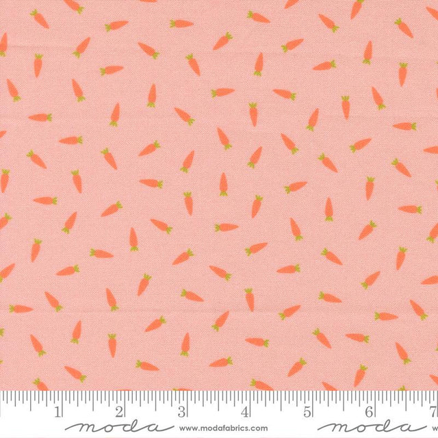 Hop Into Spring Petal 39094 13 Moda #1