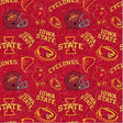 Iowa State ISU1178