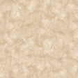 Milk Paint Texture Neutral 5296