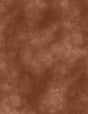 Mist Texture Brown 6343