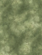 Mist Texture Green 6346