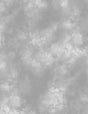 Mist Texture Medium Gray 6345