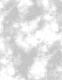 Mist Texture White on White 6331