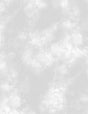 Mist Textured Light Gray 6333