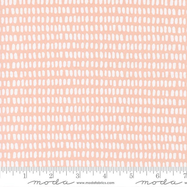 Potted Etching Blush 5594