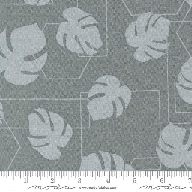 Potted Monstera Geo Ocean 5587