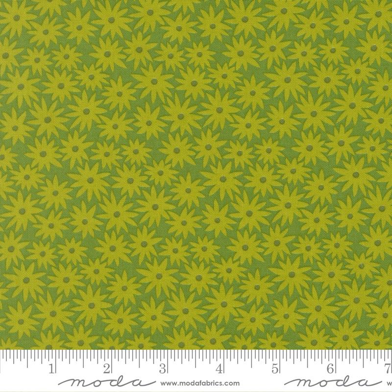 Scenery Sedum Limeade 6517