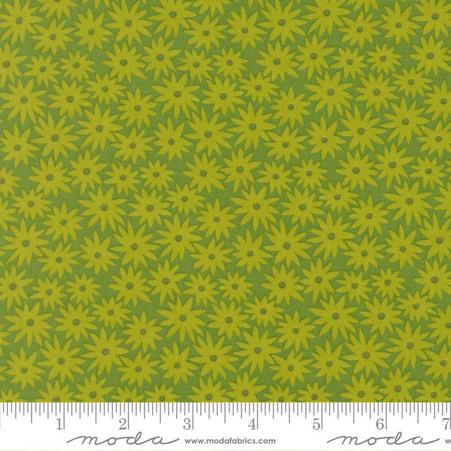 Scenery Sedum Limeade 6517