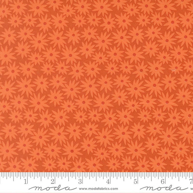 Scenery Sedum Yam 6520
