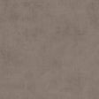Shades Pebble 4533