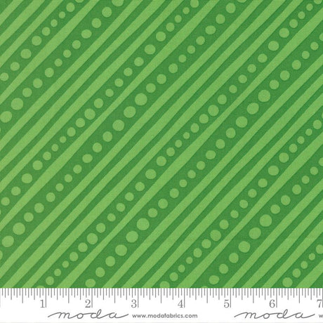 Snow Time Hollyleaf Stripe Dot 6531