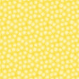 Starlet Sunshine 6223