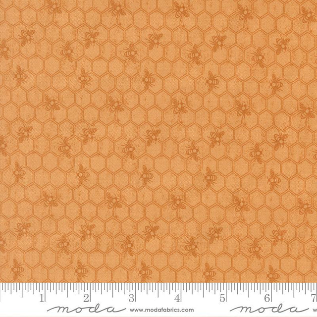 Wild Honey Honey 5675